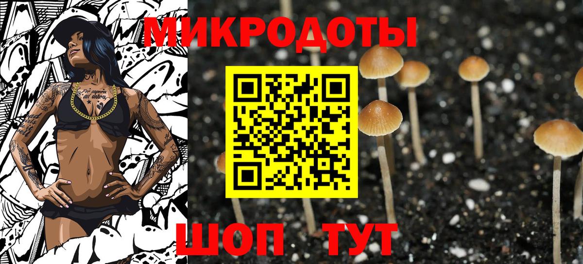 Кумертау  сколько стоит  Галлюциногенные грибы MAGIC MUSHROOMS  Вход с VPN  Псилоцибиновые грибы Cubensis 