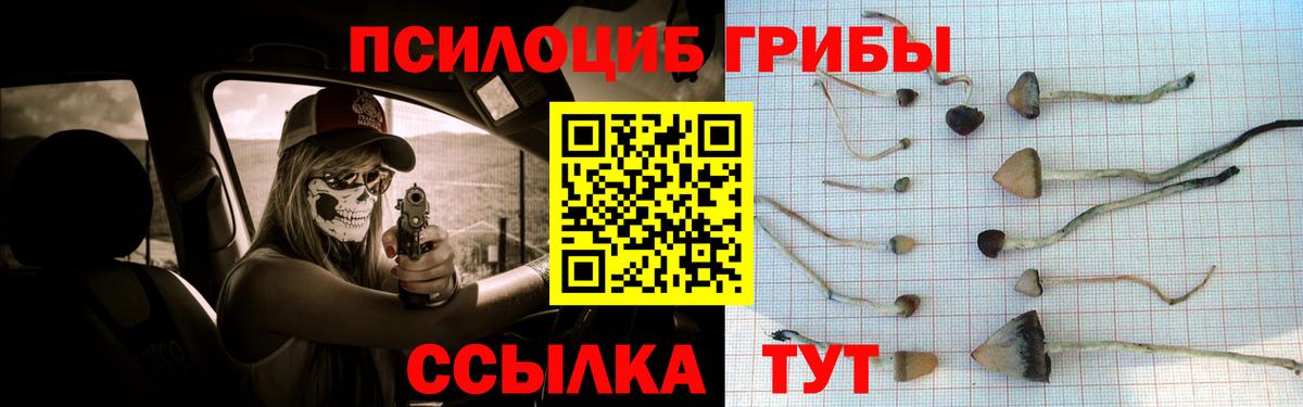 Псилоцибиновые грибы GOLDEN TEACHER Кумертау
